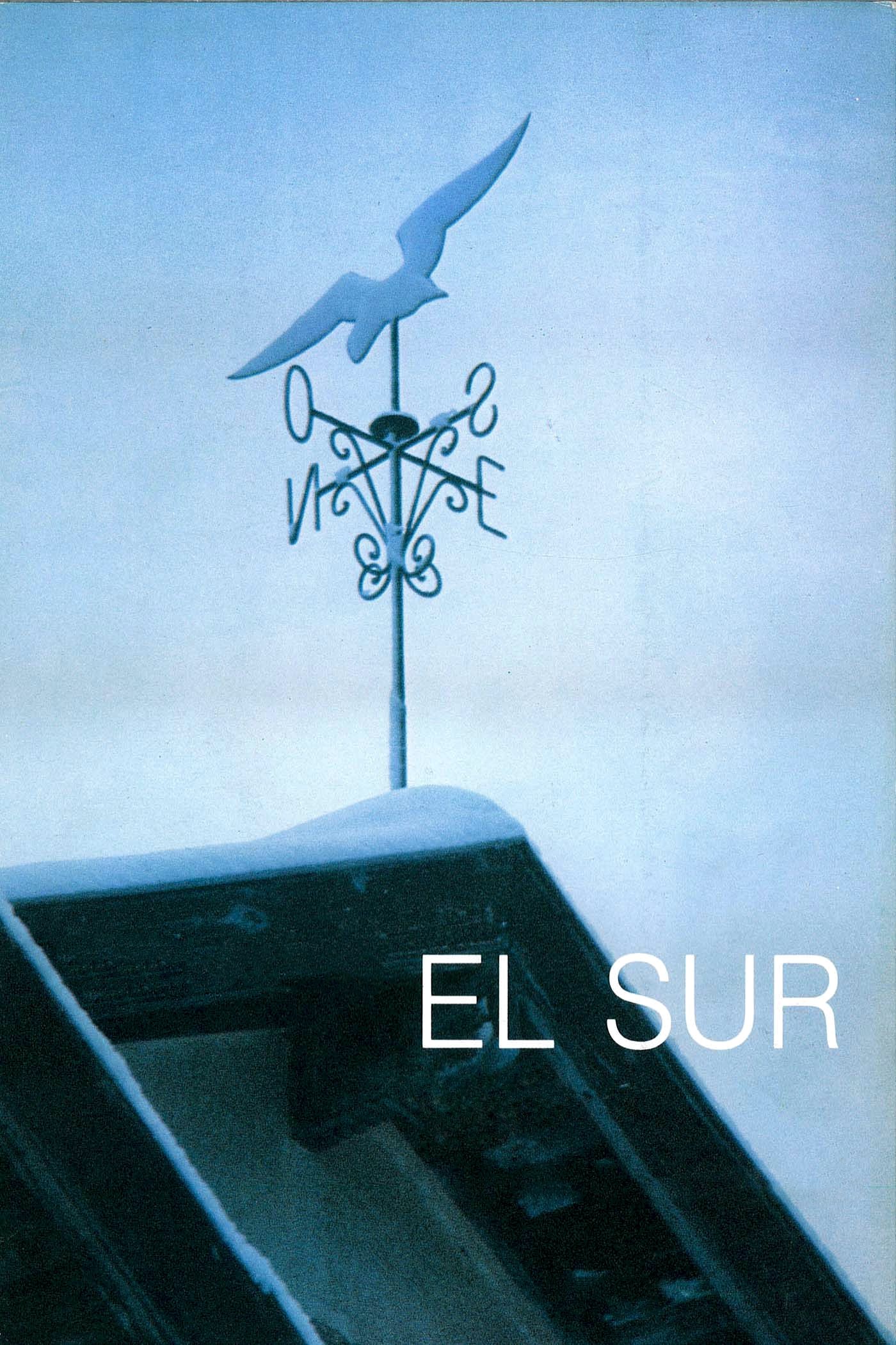 Locandina di El sur
