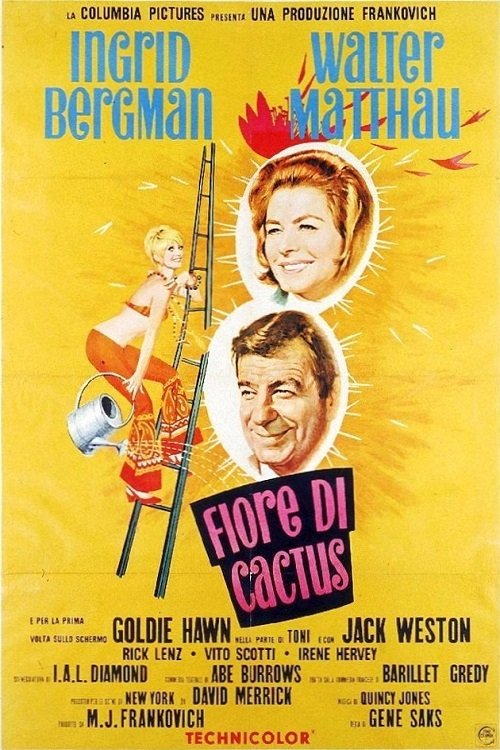 Locandina di Fiore di cactus