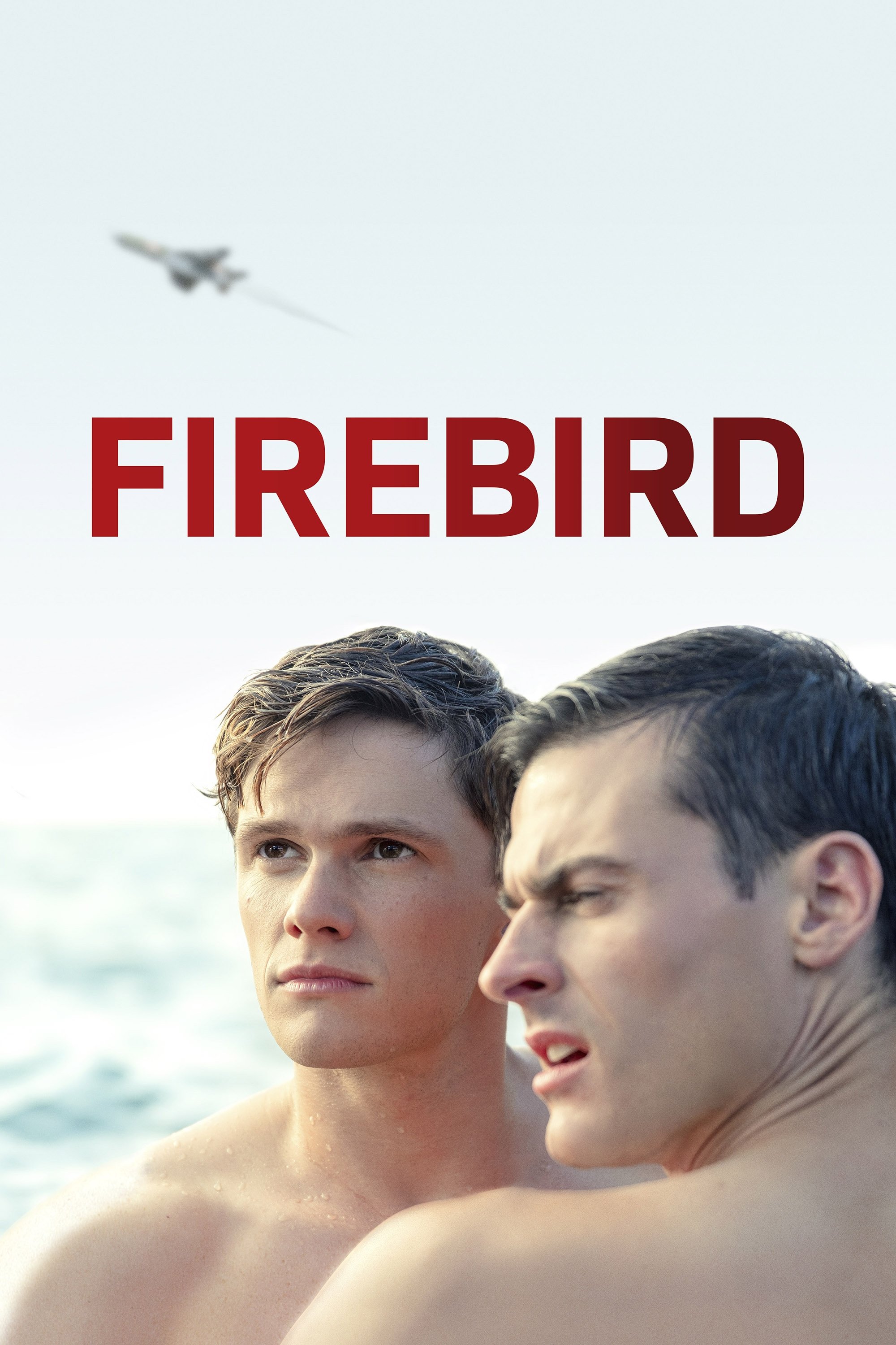 Locandina di Firebird