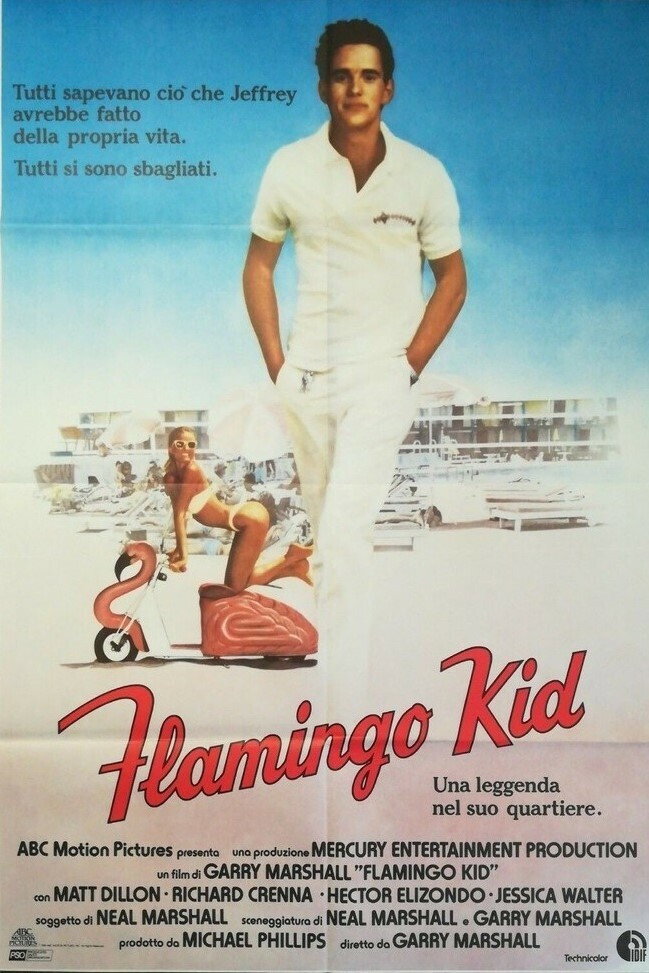 Locandina di Flamingo Kid