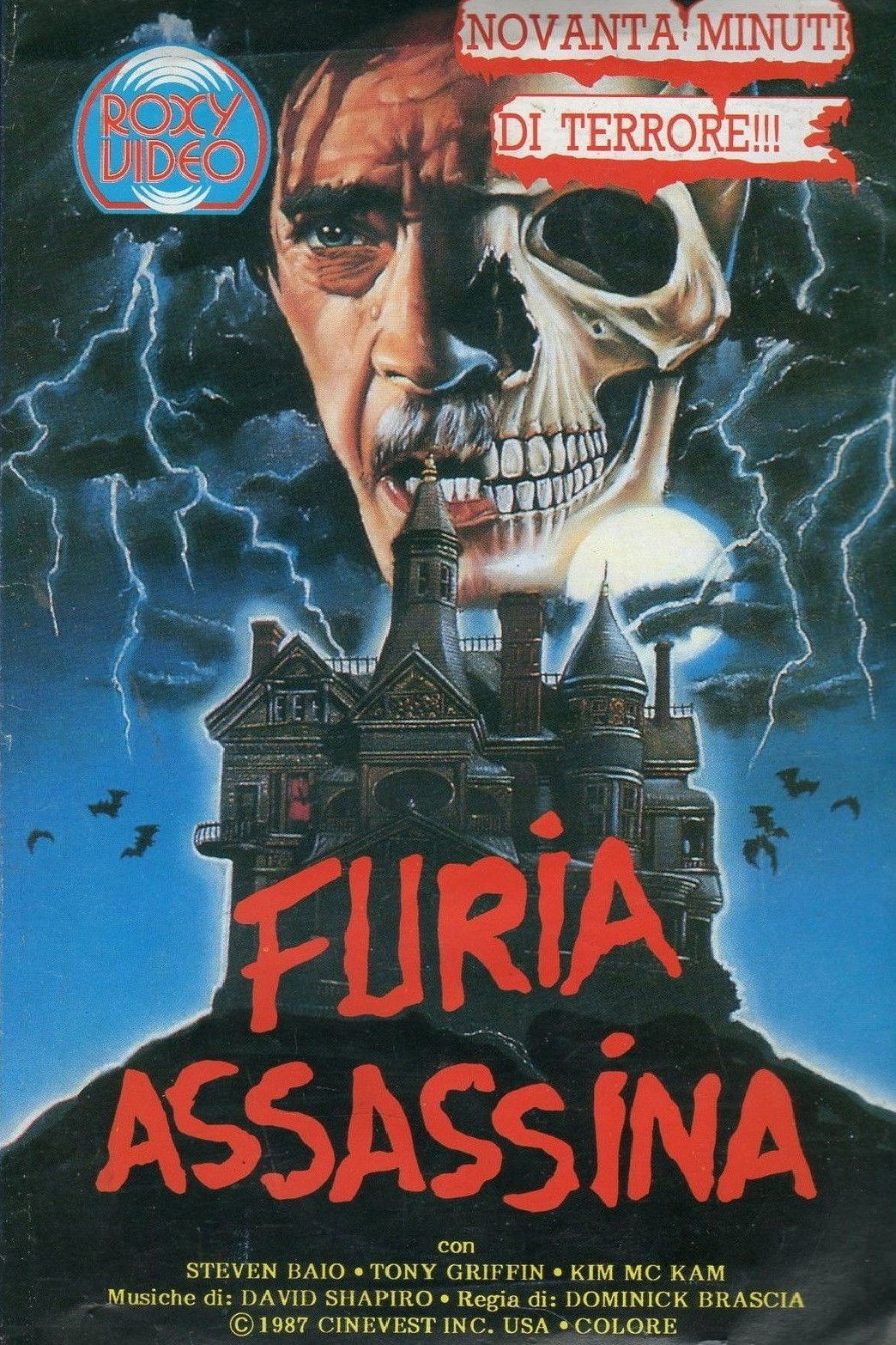 Locandina di Furia assassina