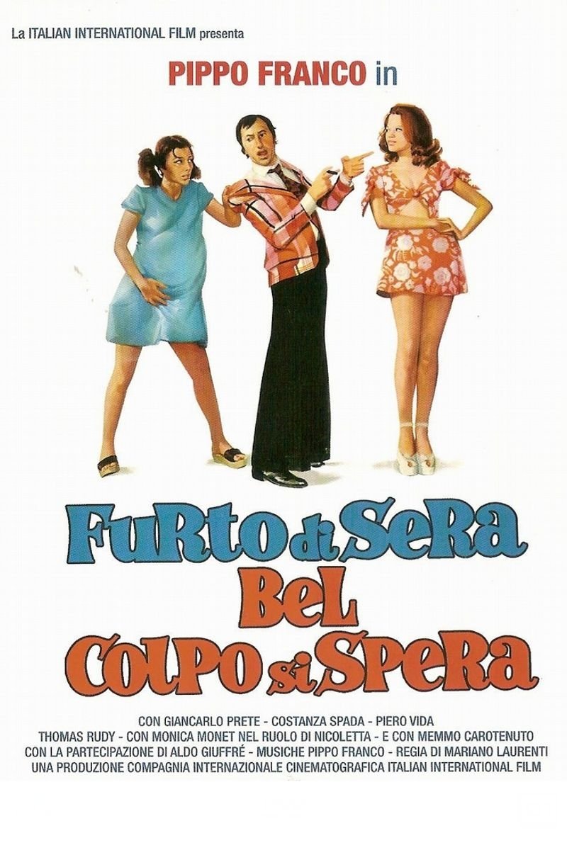 Locandina di Furto di sera bel colpo si spera