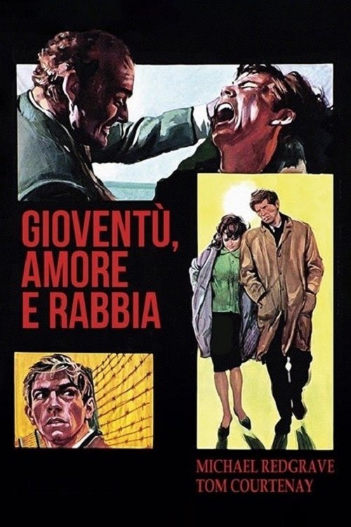 Locandina di Gioventù amore e rabbia