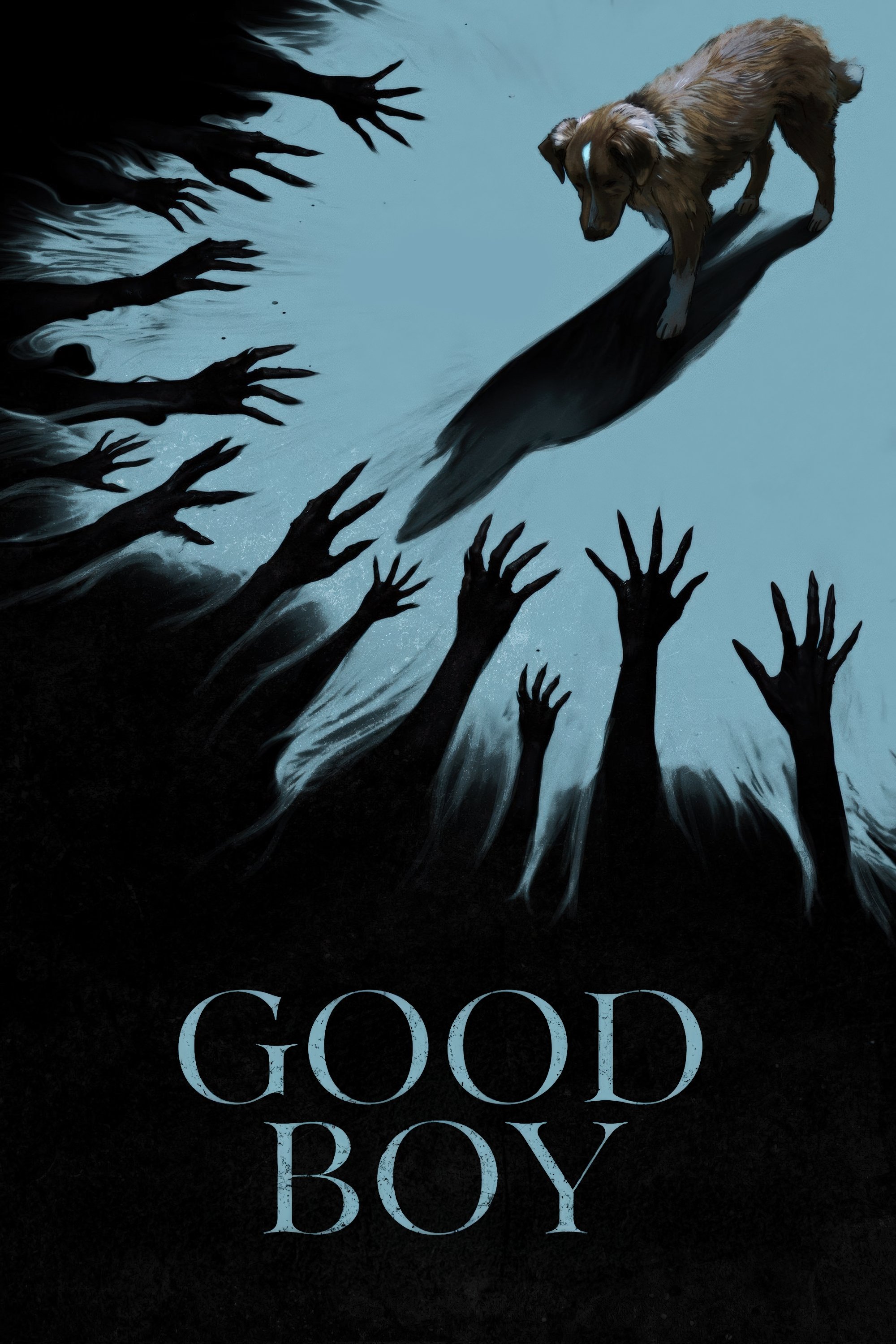 Locandina di Good Boy