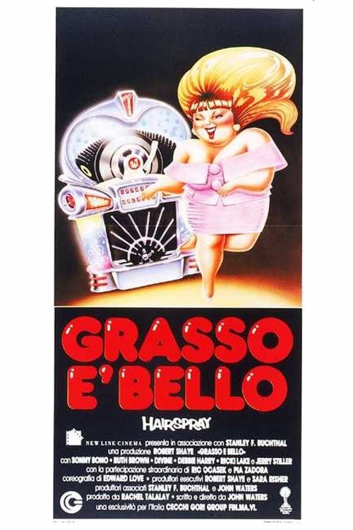 Locandina di Grasso è bello