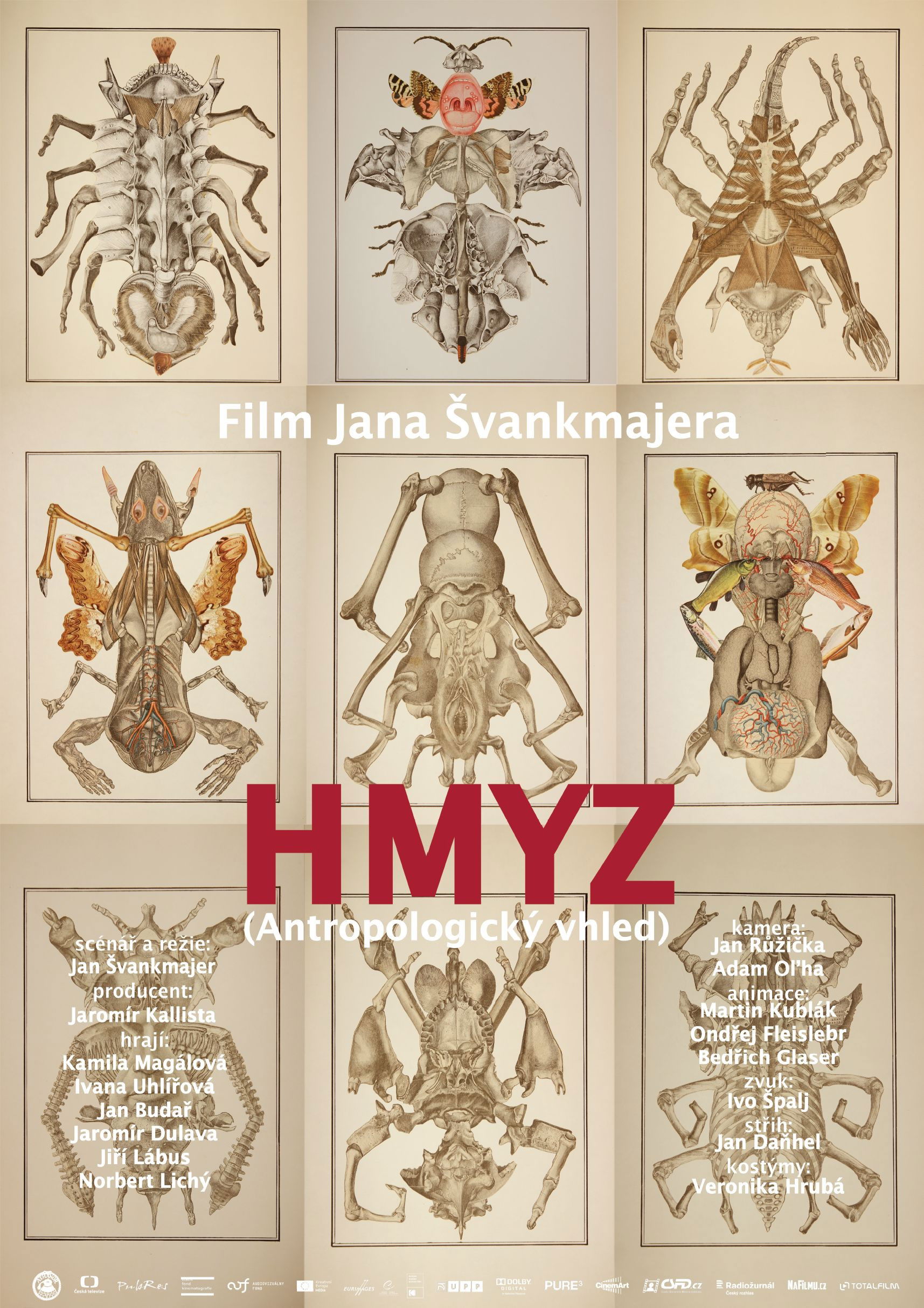 Locandina di Hmyz