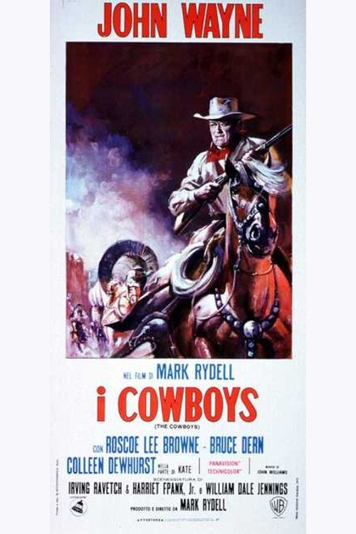 Locandina di I cowboys