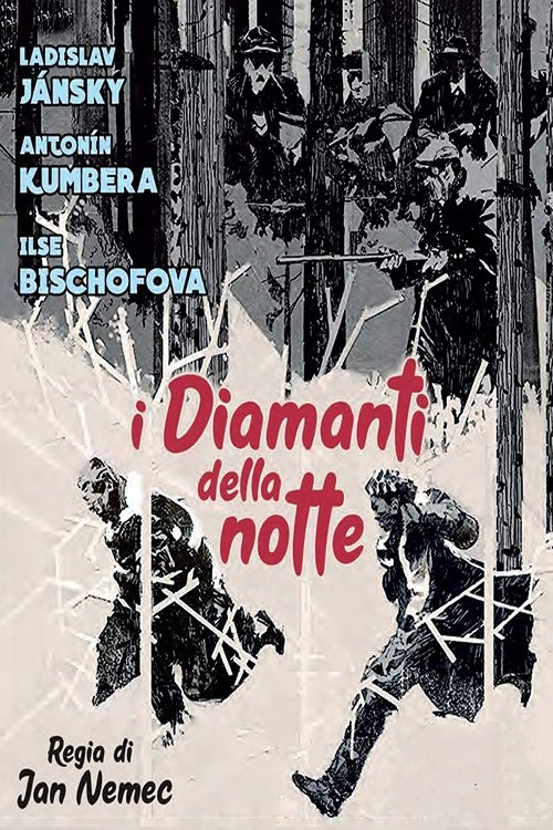 Locandina di I diamanti della notte