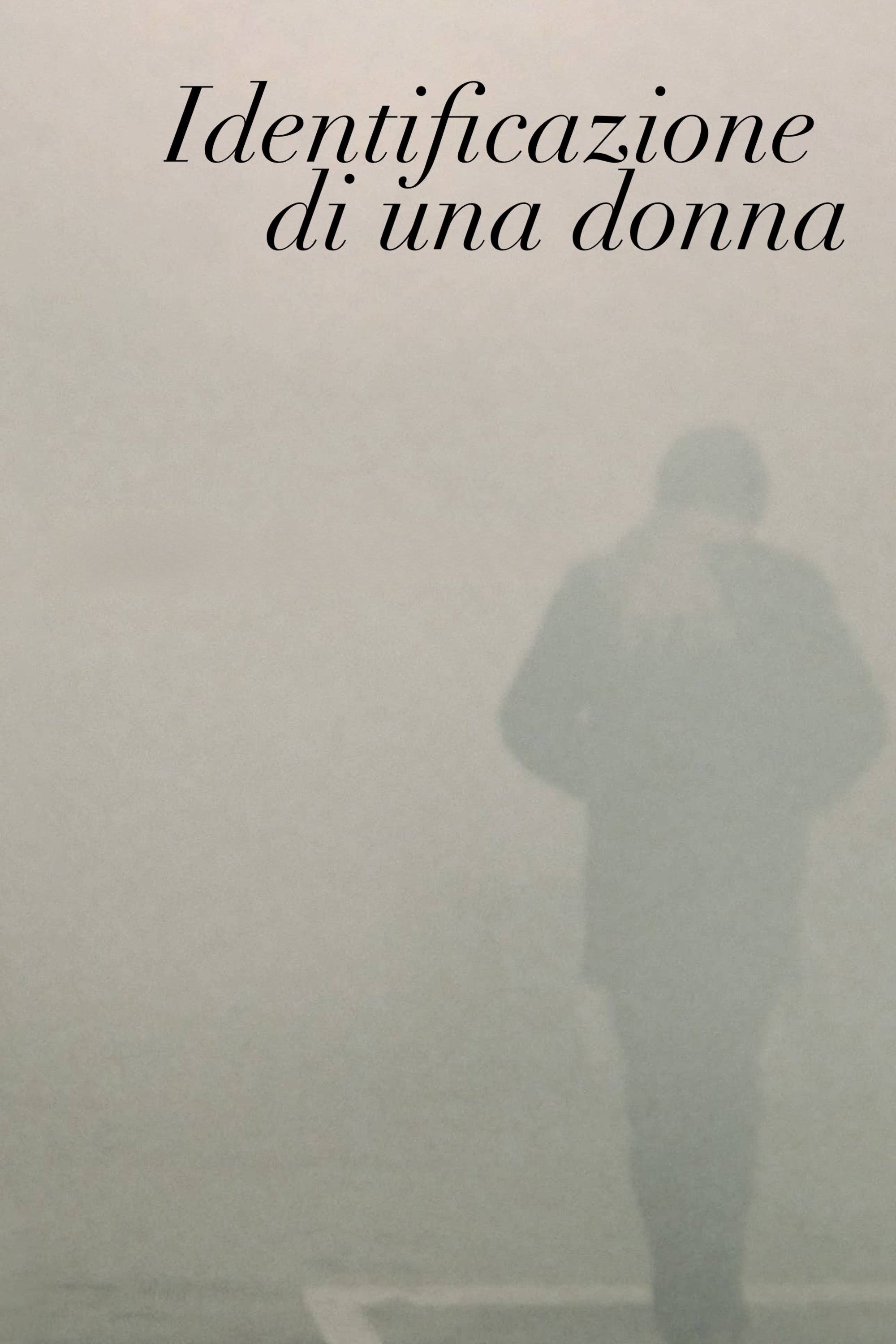 Locandina di Identificazione di una donna