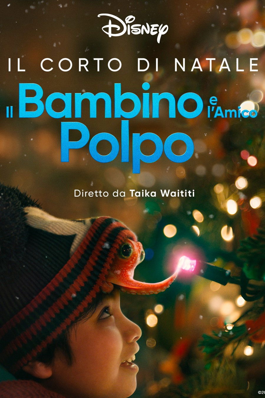 Locandina di Il bambino e l'amico polpo