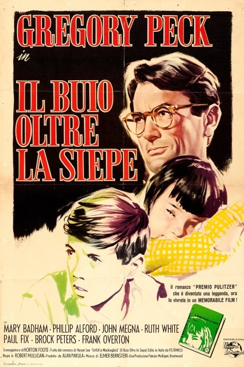 Locandina di Il buio oltre la siepe