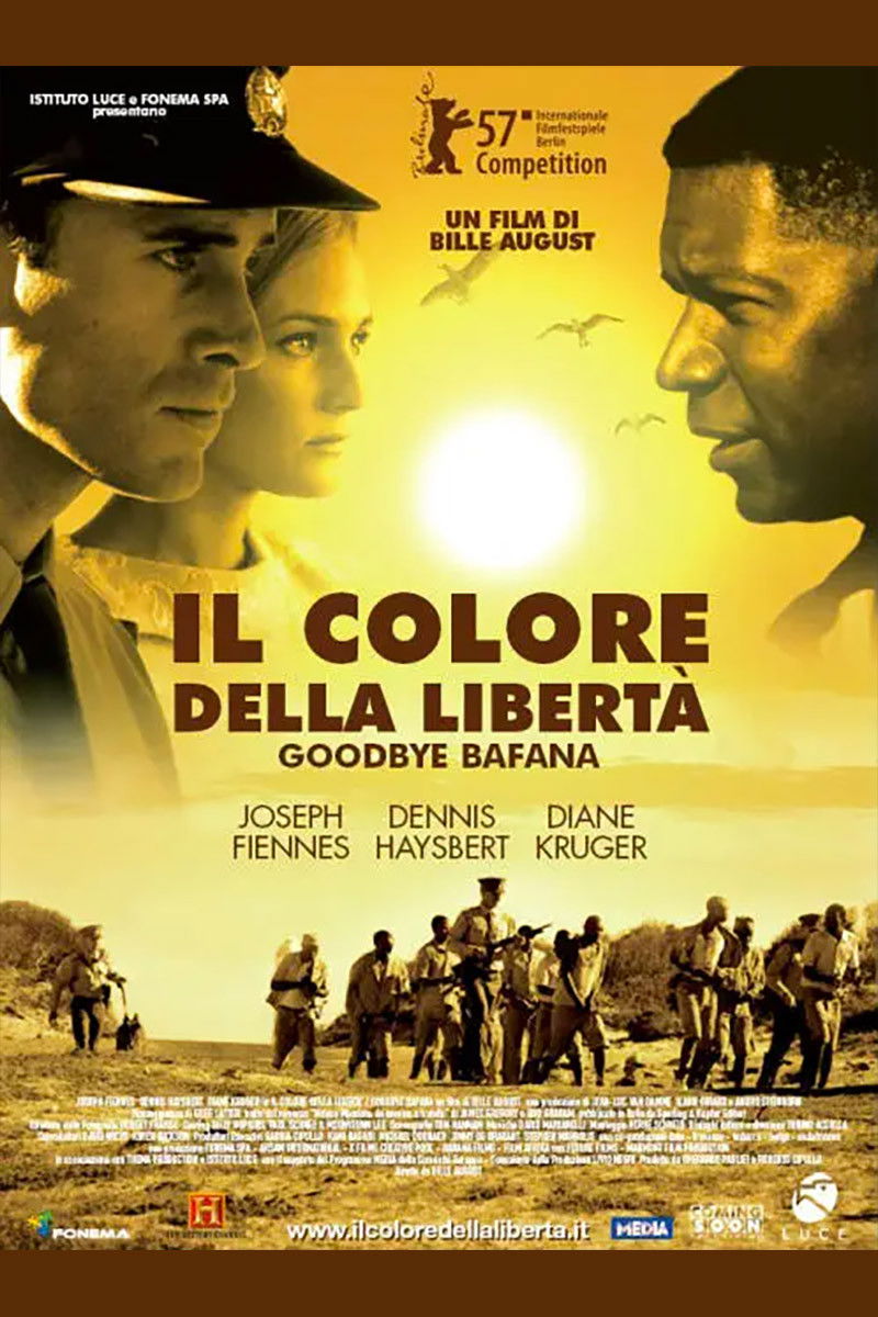 Locandina di Il colore della libertà