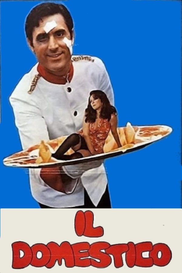 Locandina di Il domestico