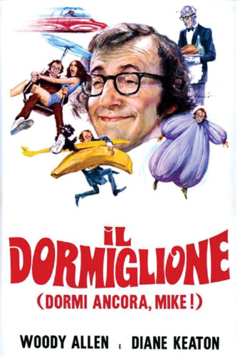 Locandina di Il dormiglione