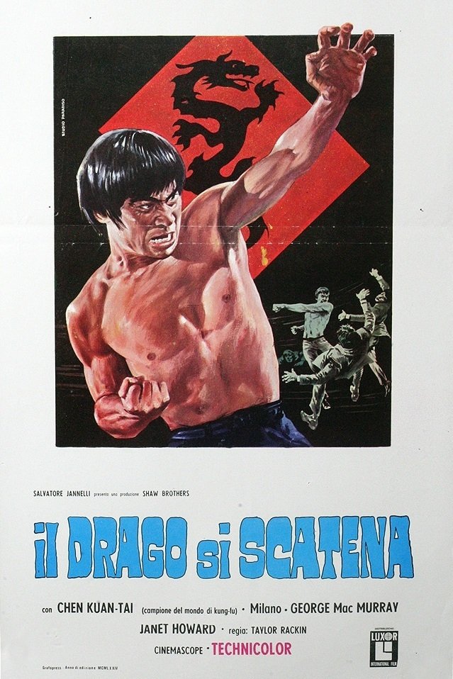 Locandina di Il drago si scatena