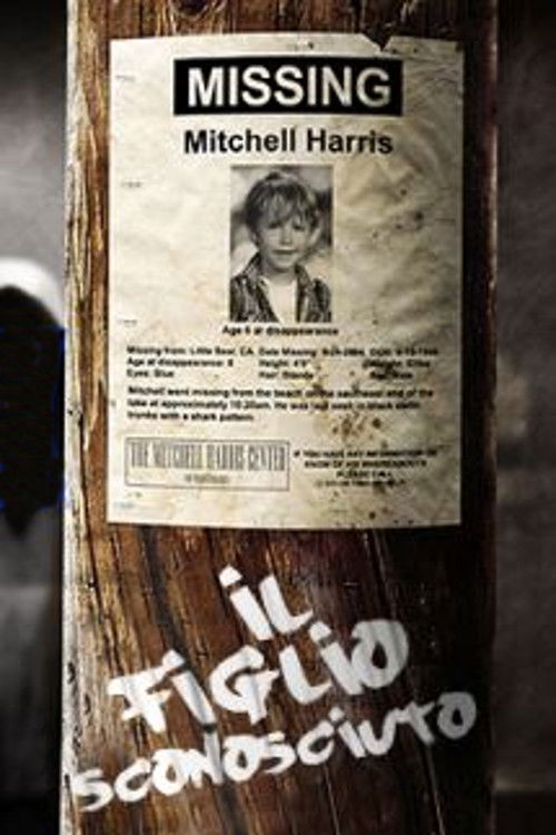 Locandina di Il figlio sconosciuto