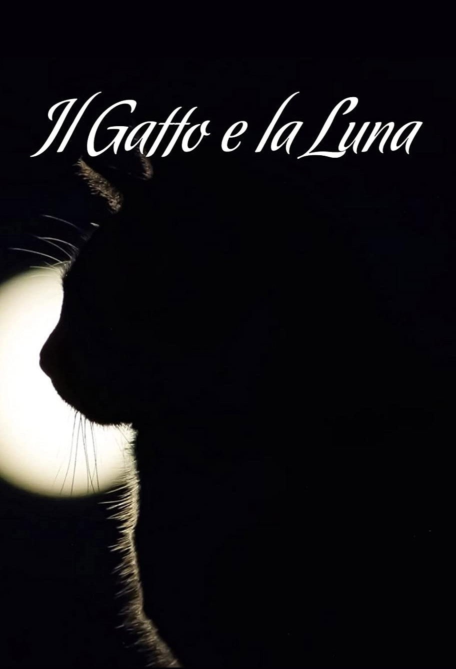 Locandina di Il gatto e la luna