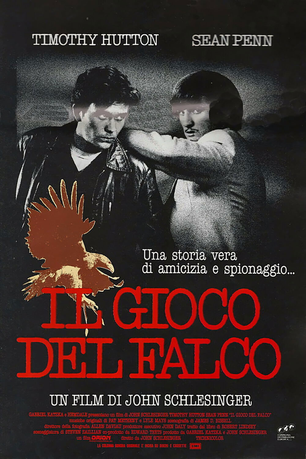 Locandina di Il gioco del falco