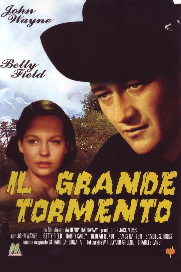 Locandina di Il grande tormento