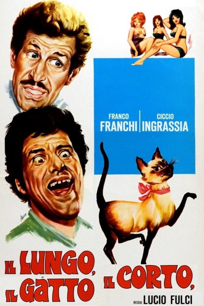 Locandina di Il lungo, il corto, il gatto