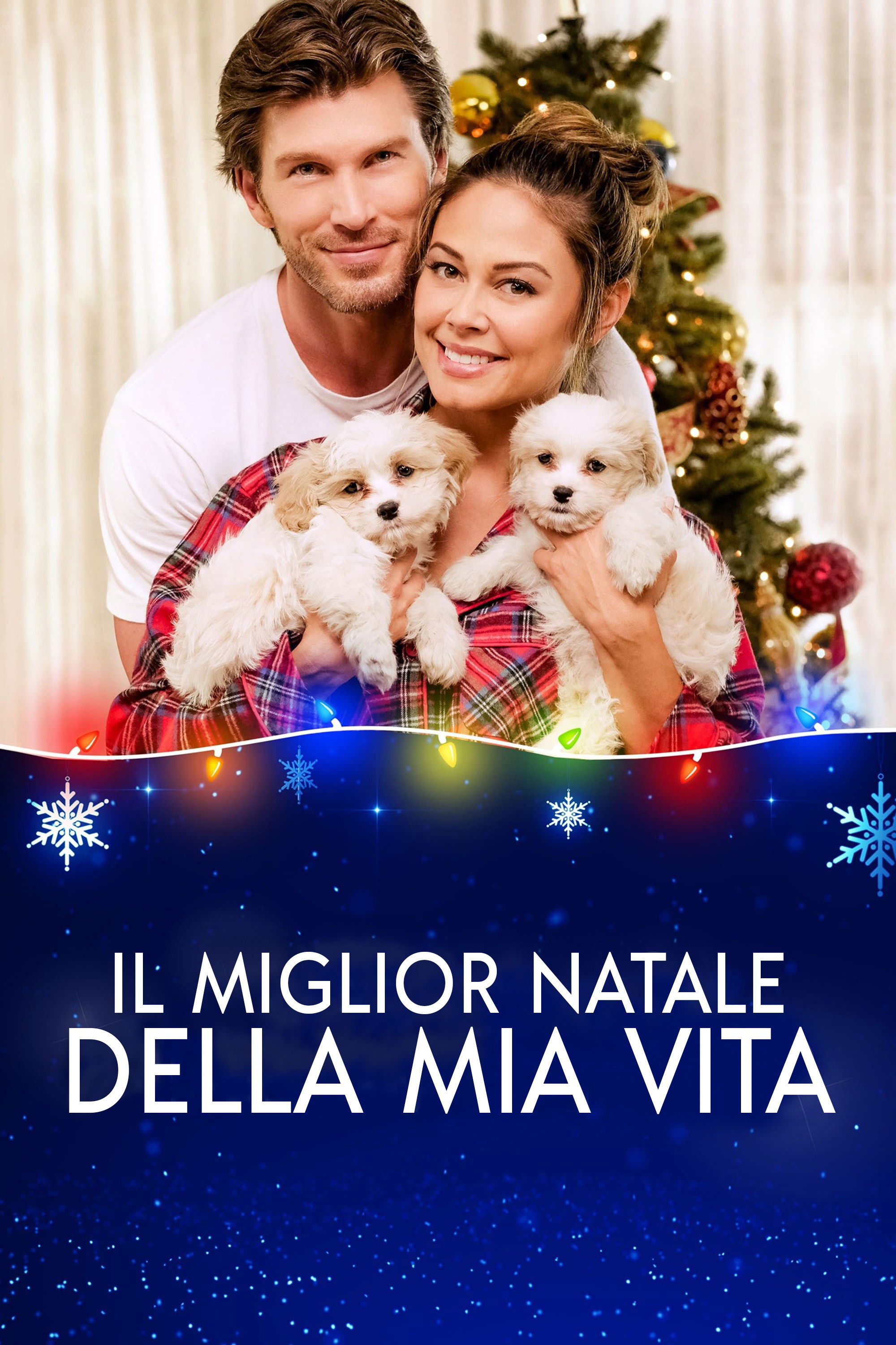 Locandina di Il miglior Natale della mia vita