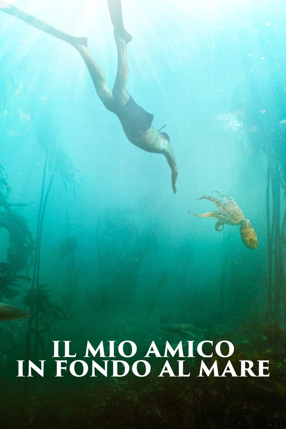Locandina di Il mio amico in fondo al mare