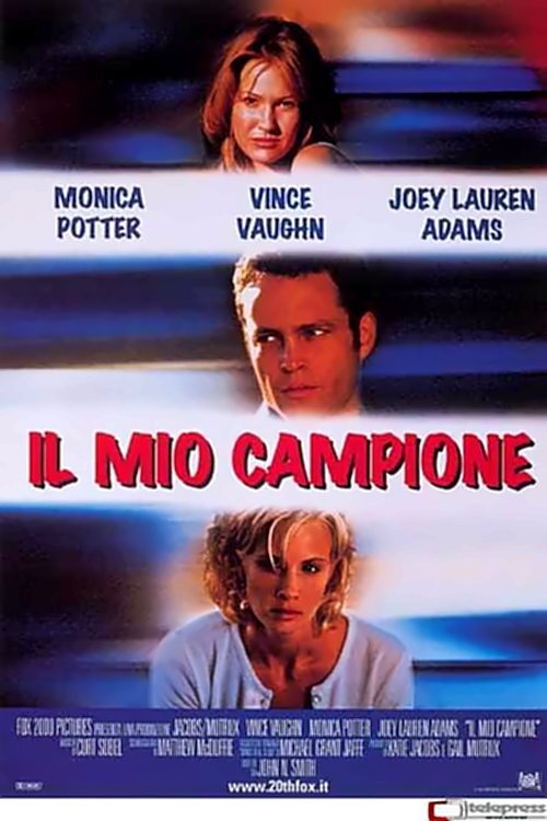 Locandina di Il mio campione