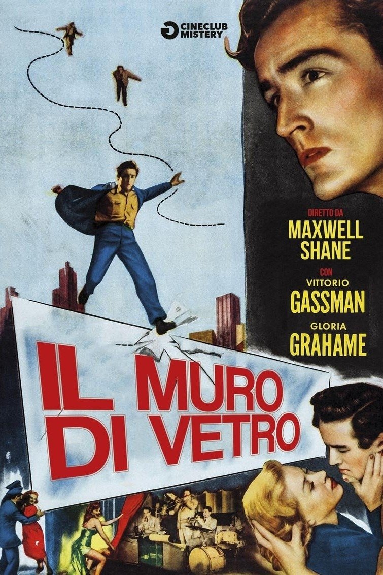 Locandina di Il muro di vetro