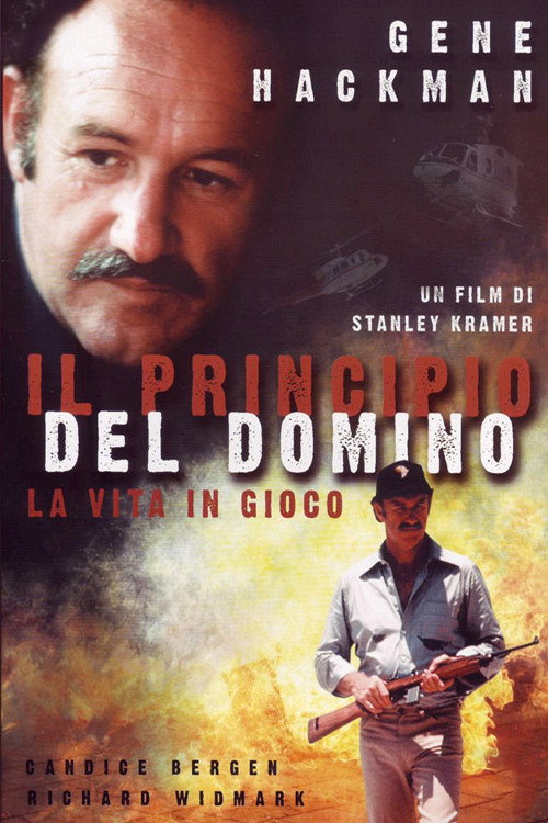 Locandina di Il principio del domino: la vita in gioco