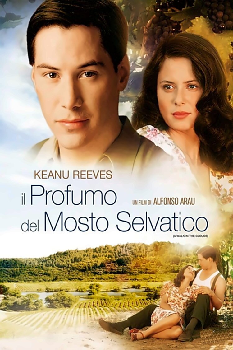 Locandina di Il profumo del mosto selvatico