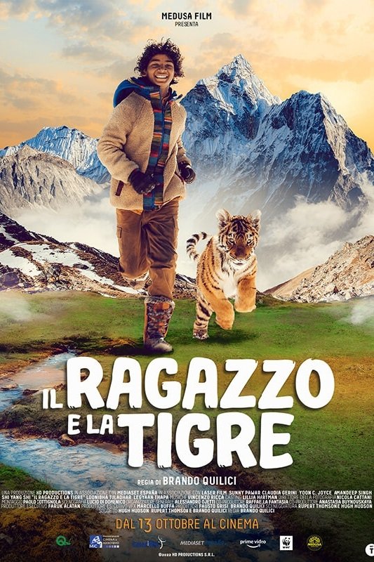 Locandina di Il ragazzo e la tigre
