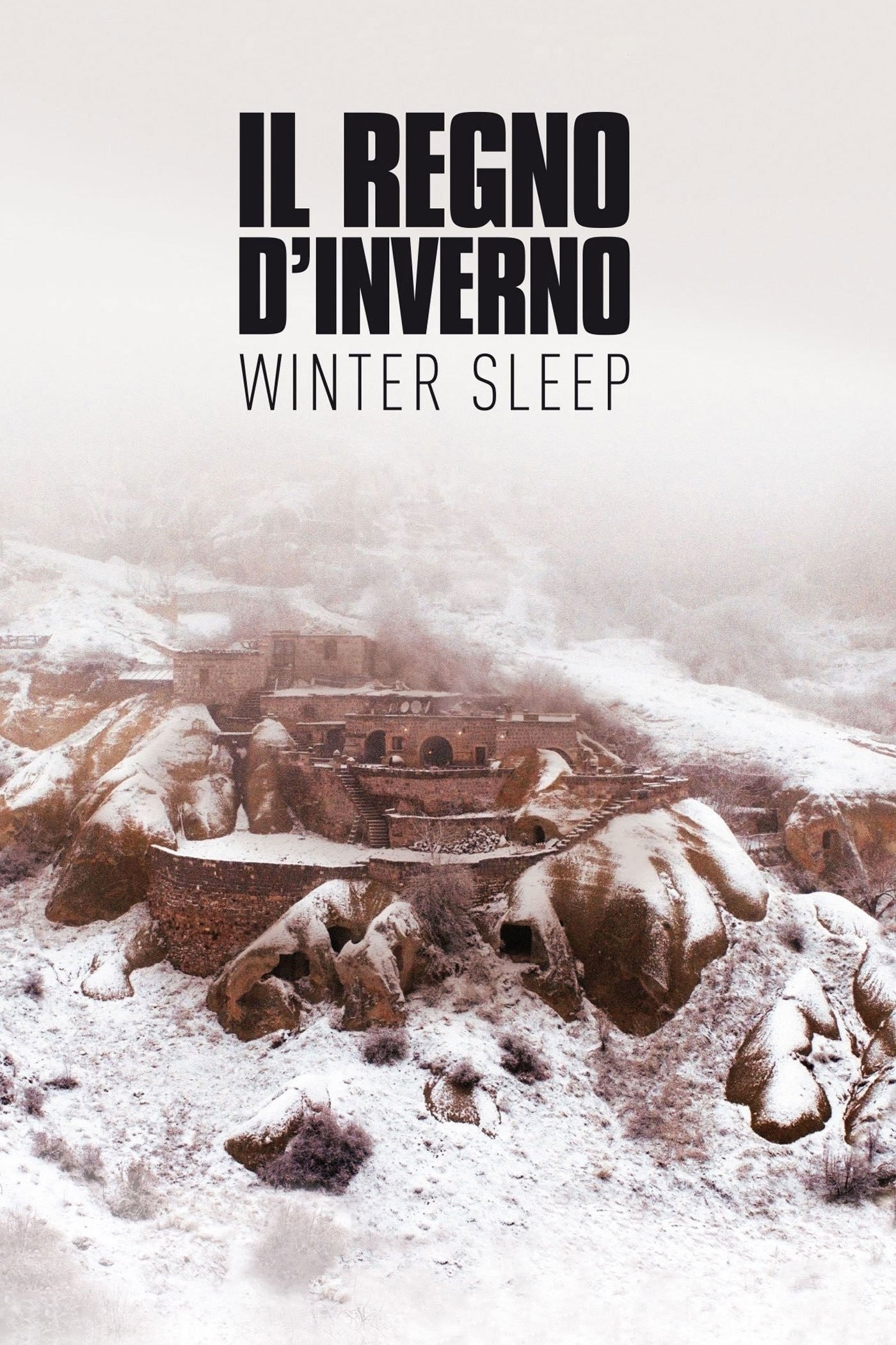 Locandina di Il regno d'inverno - Winter Sleep