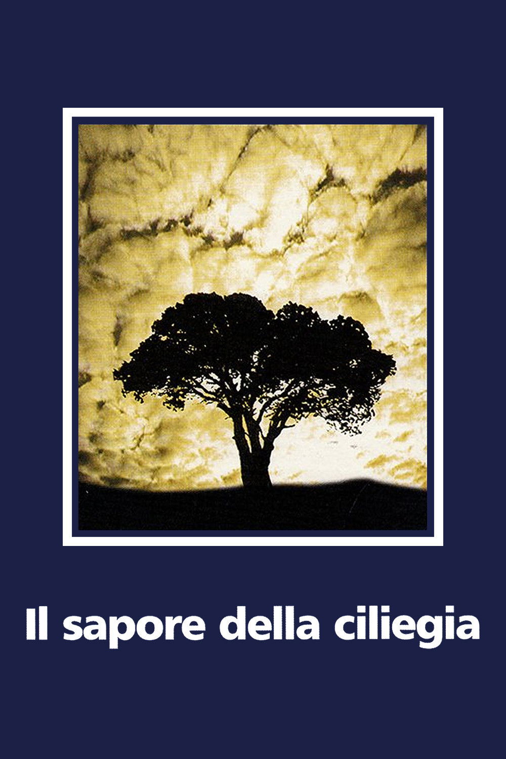 Locandina di Il sapore della ciliegia