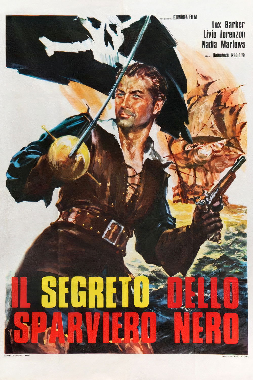 Locandina di Il segreto dello sparviero nero