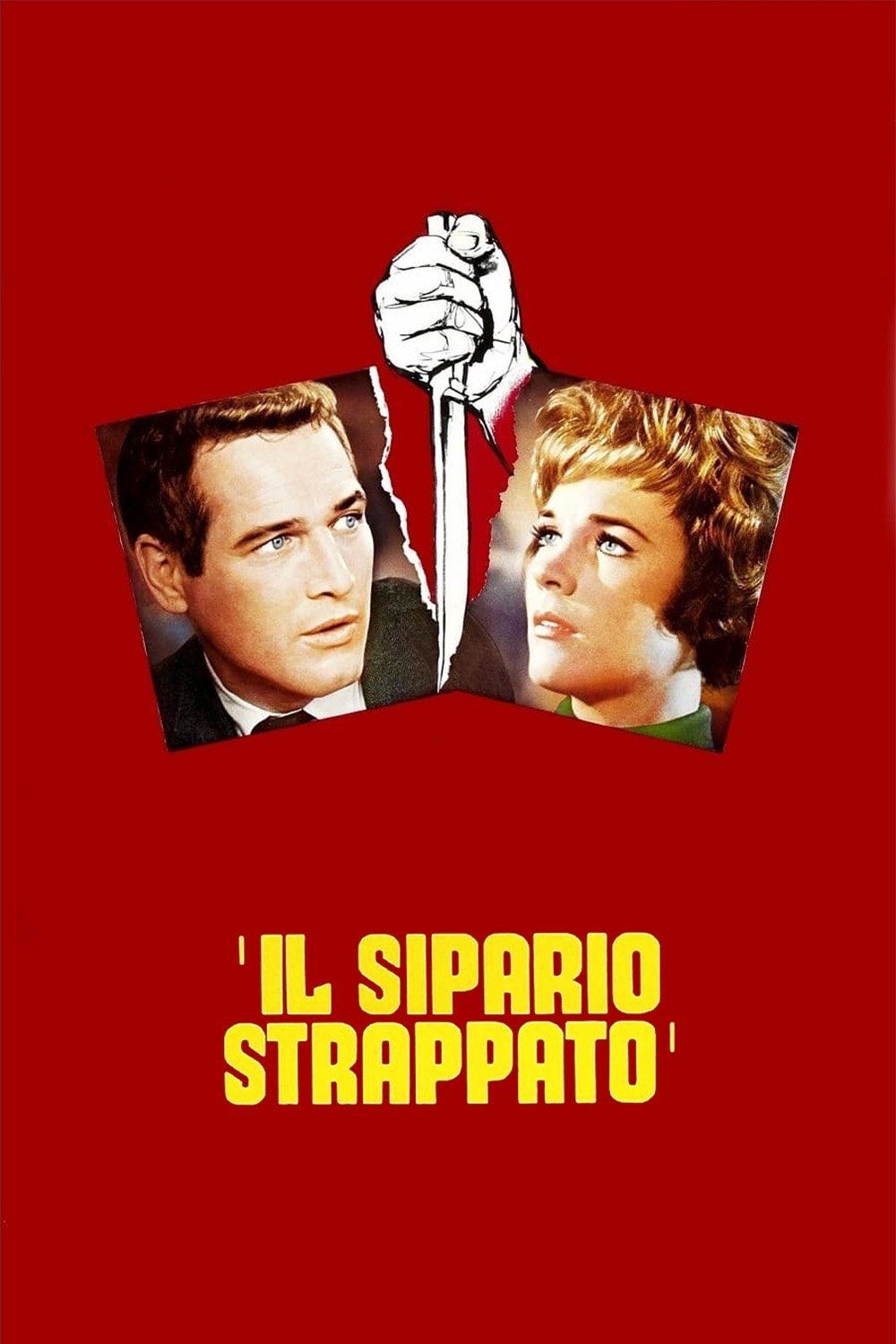 Locandina di Il sipario strappato