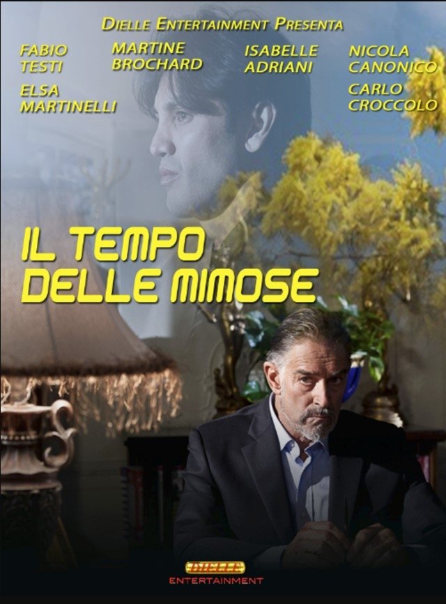 Locandina di Il tempo delle mimose