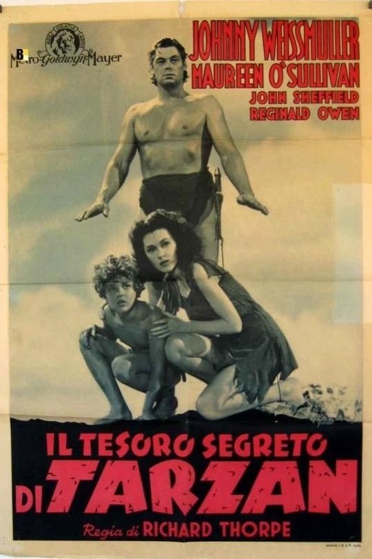 Locandina di Il tesoro segreto di Tarzan