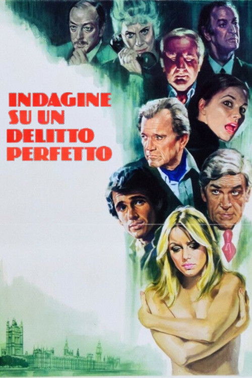 Locandina di Indagine su un delitto perfetto