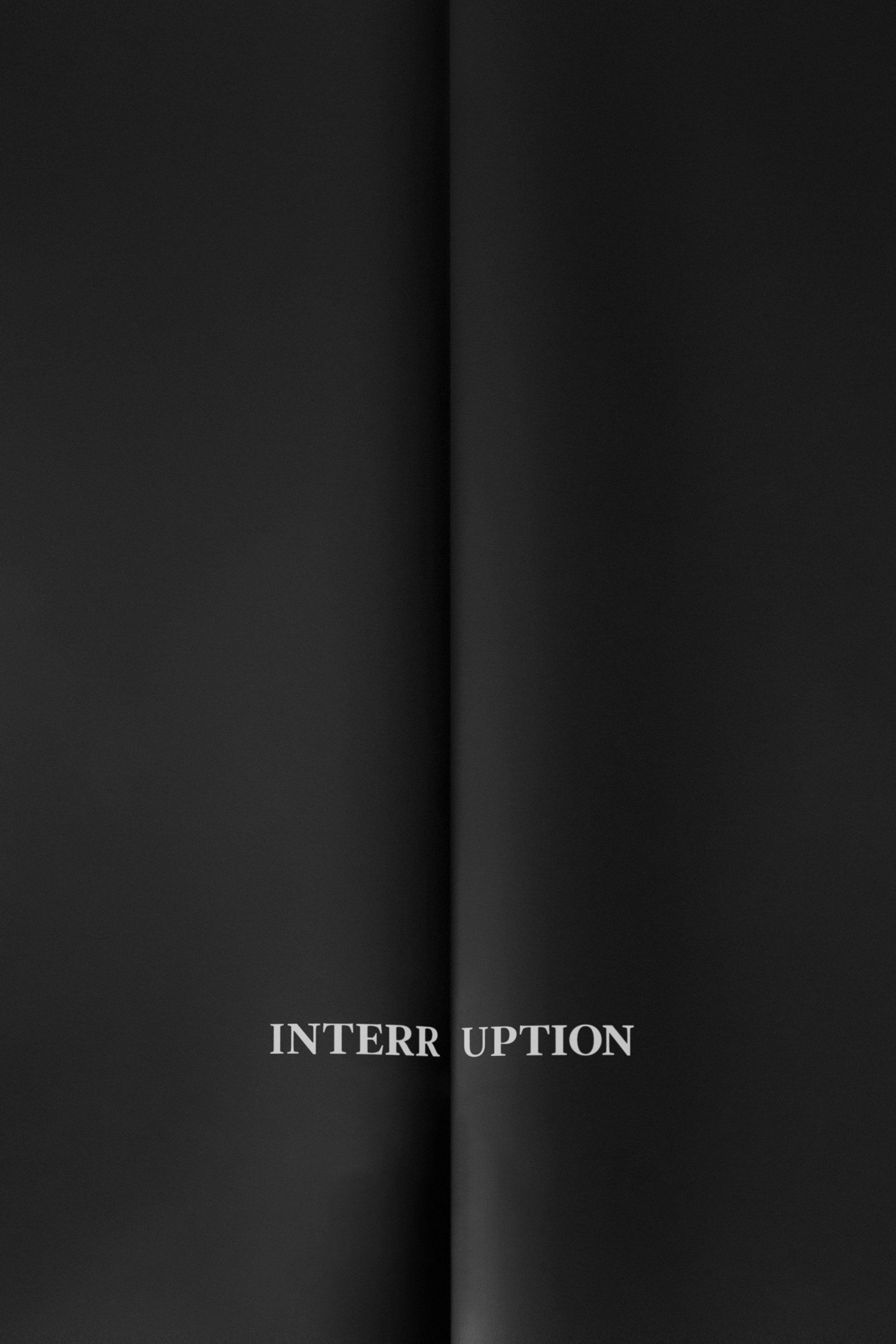 Locandina di Interruption