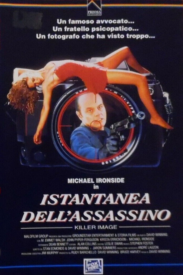 Locandina di Istantanea dell'assassino
