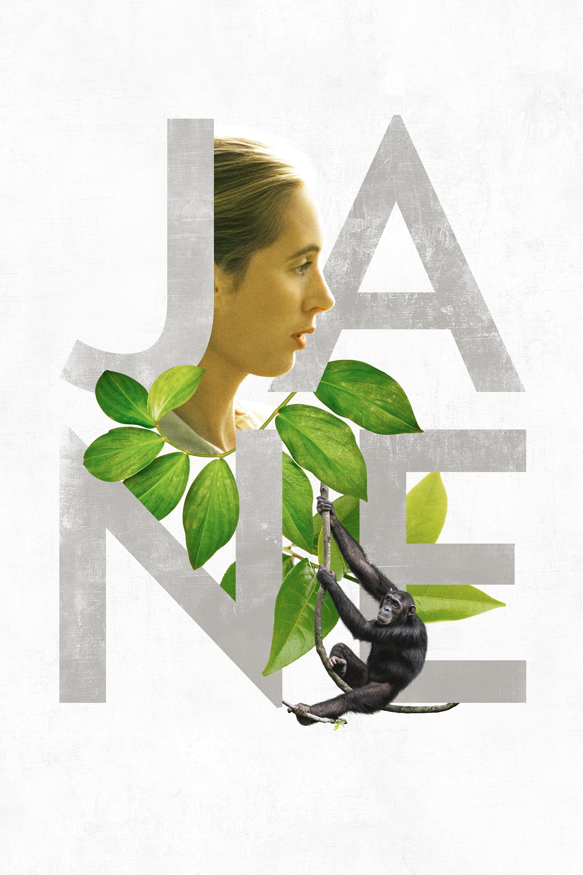 Locandina di Jane