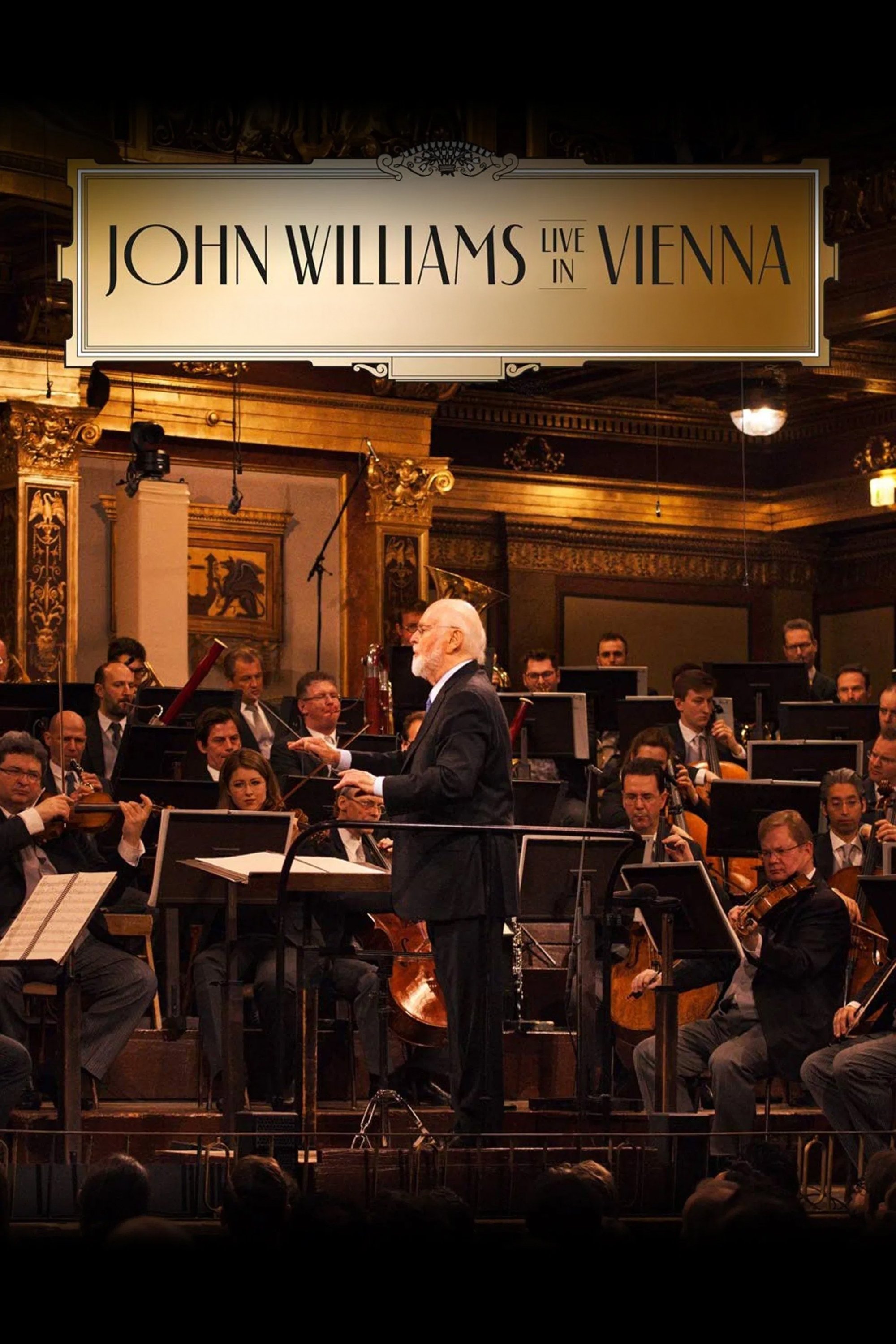 Locandina di John Williams - Live in Vienna