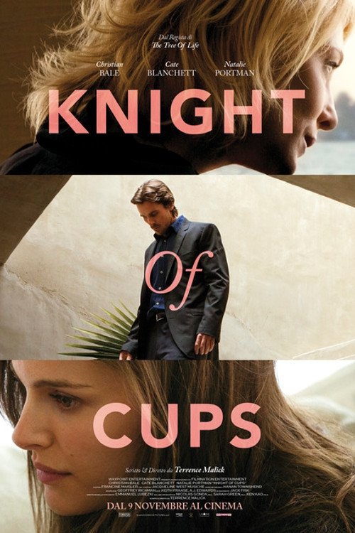 Locandina di Knight of Cups