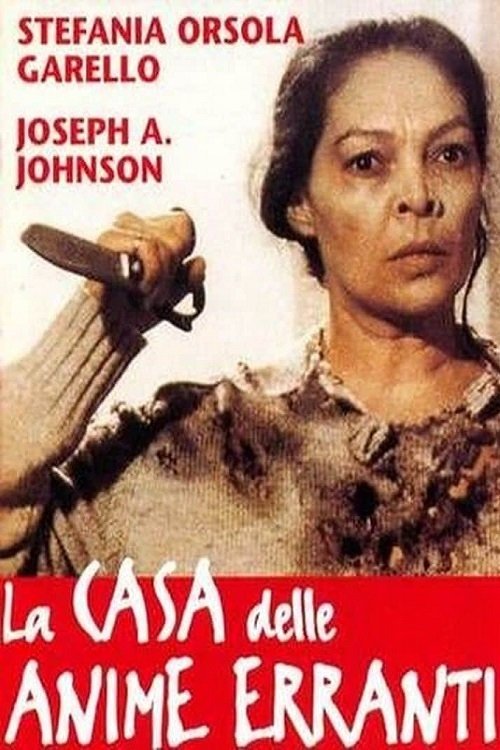 Locandina di La casa delle anime erranti