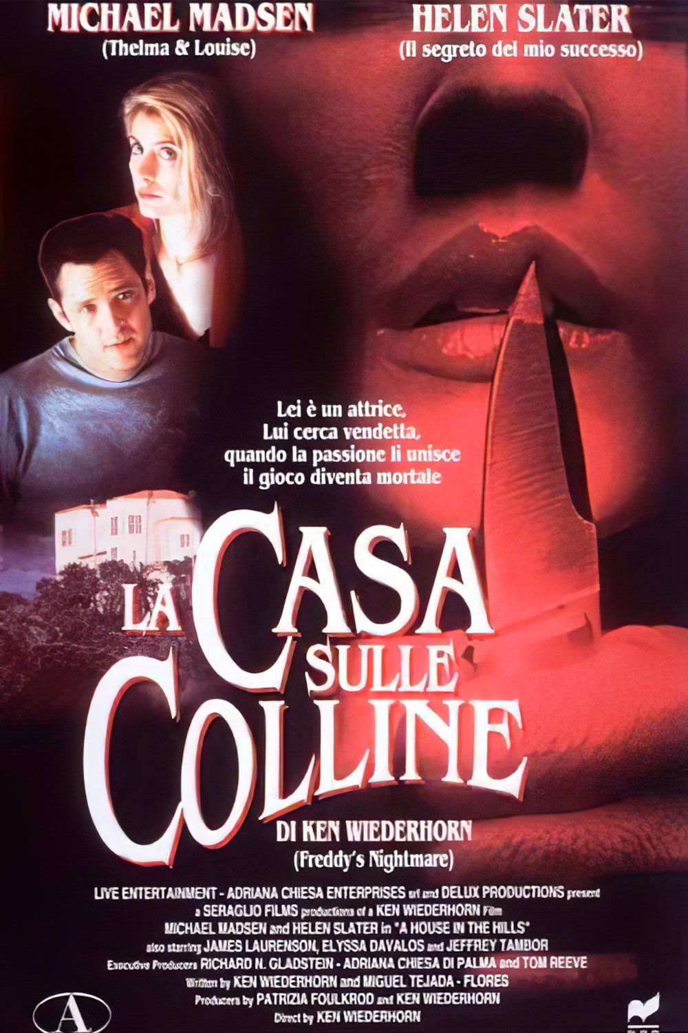 Locandina di La casa sulle colline