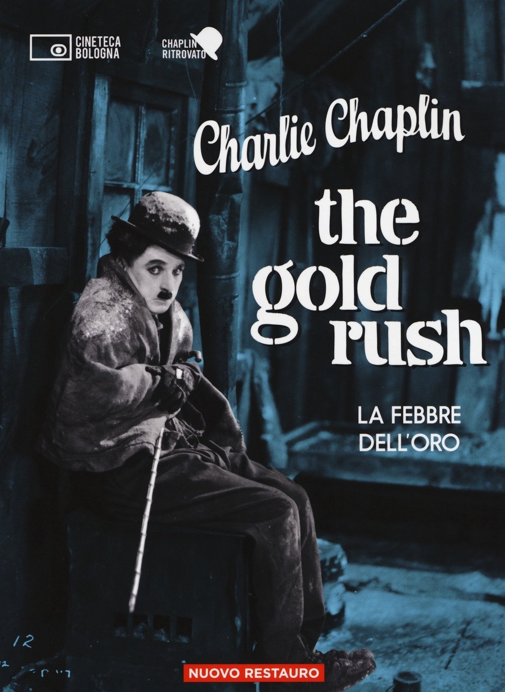 Locandina di La febbre dell'oro
