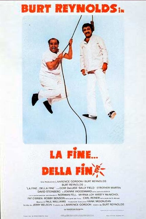 Locandina di La fine... della fine