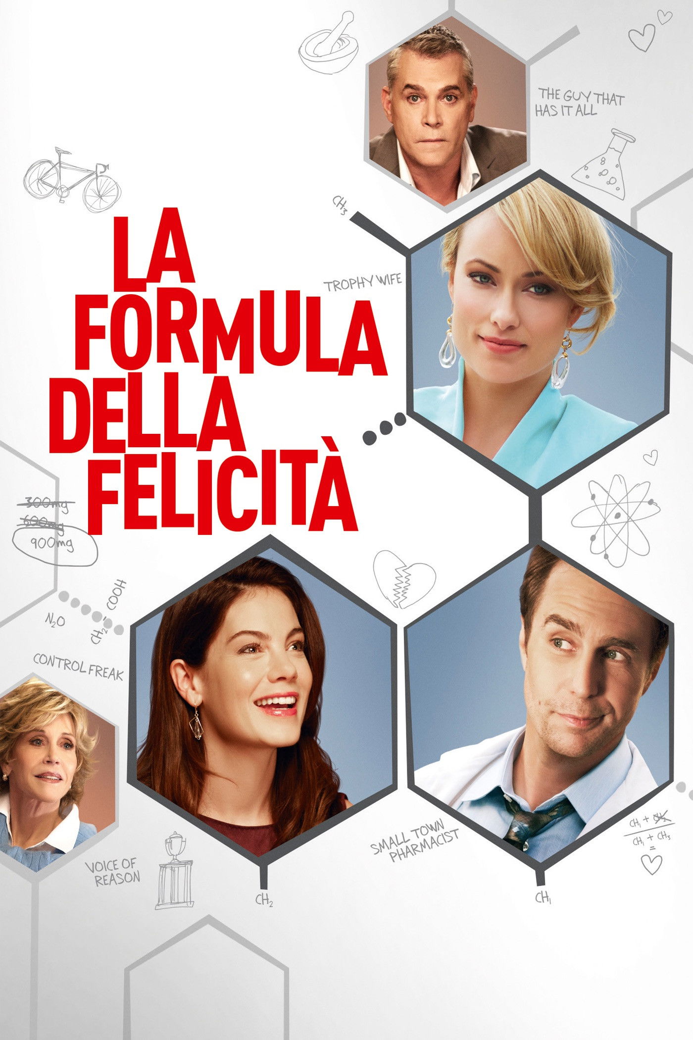 Locandina di La formula della felicità