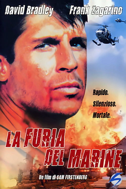 Locandina di La furia del marine