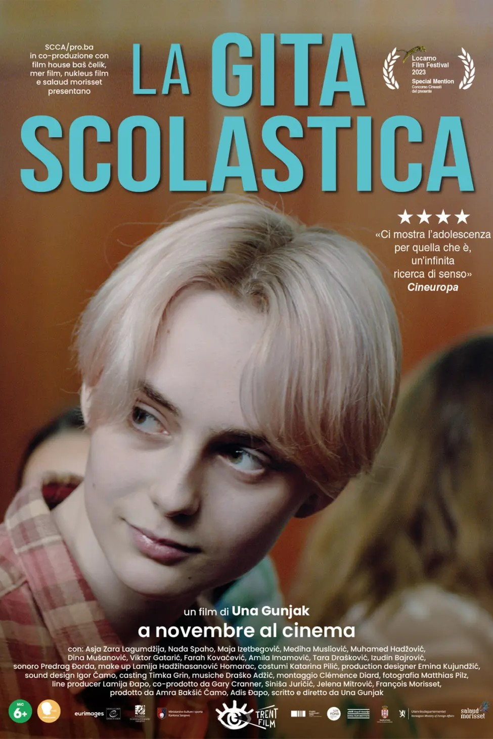 Locandina di La gita scolastica